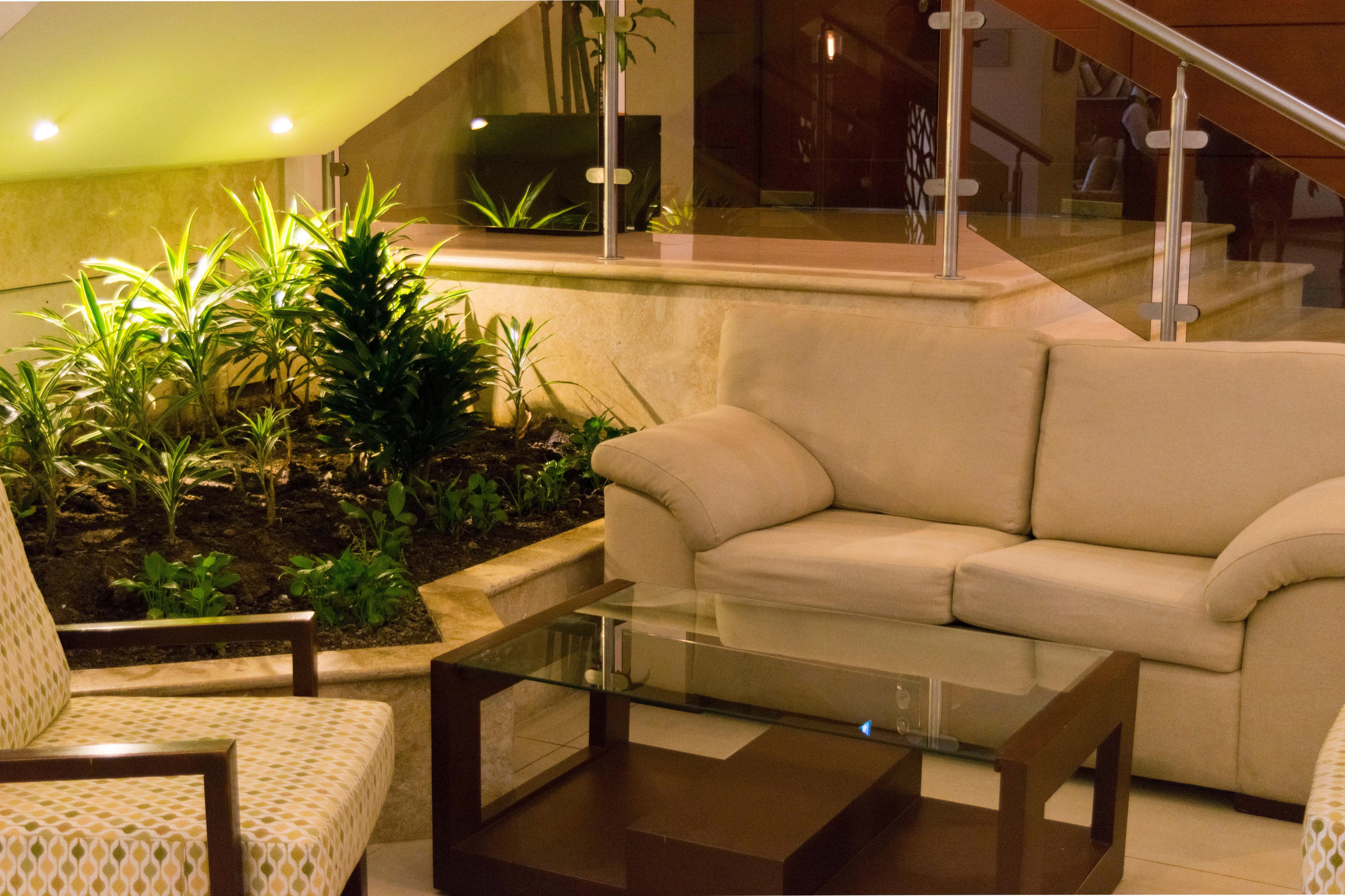 Hyatt Centric Gwatemala Zewnętrze zdjęcie